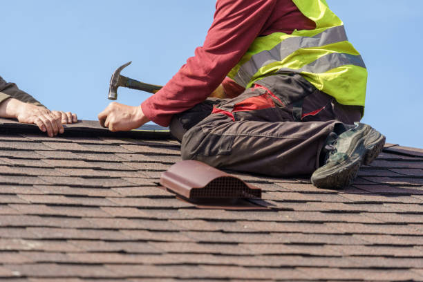 Best Roof Gutter Cleaning  in Stevensville, MD