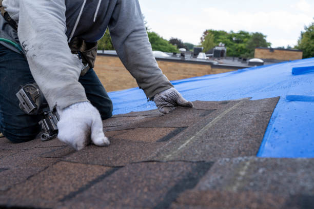 Tile Roofing Contractor in Stevensville, MD