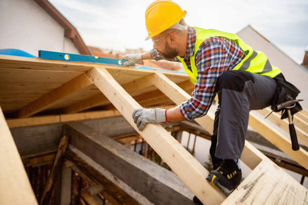 Roof Gutter Cleaning in Stevensville, MD