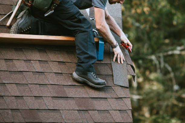 Professional Roofing Contractor in Stevensville, MD